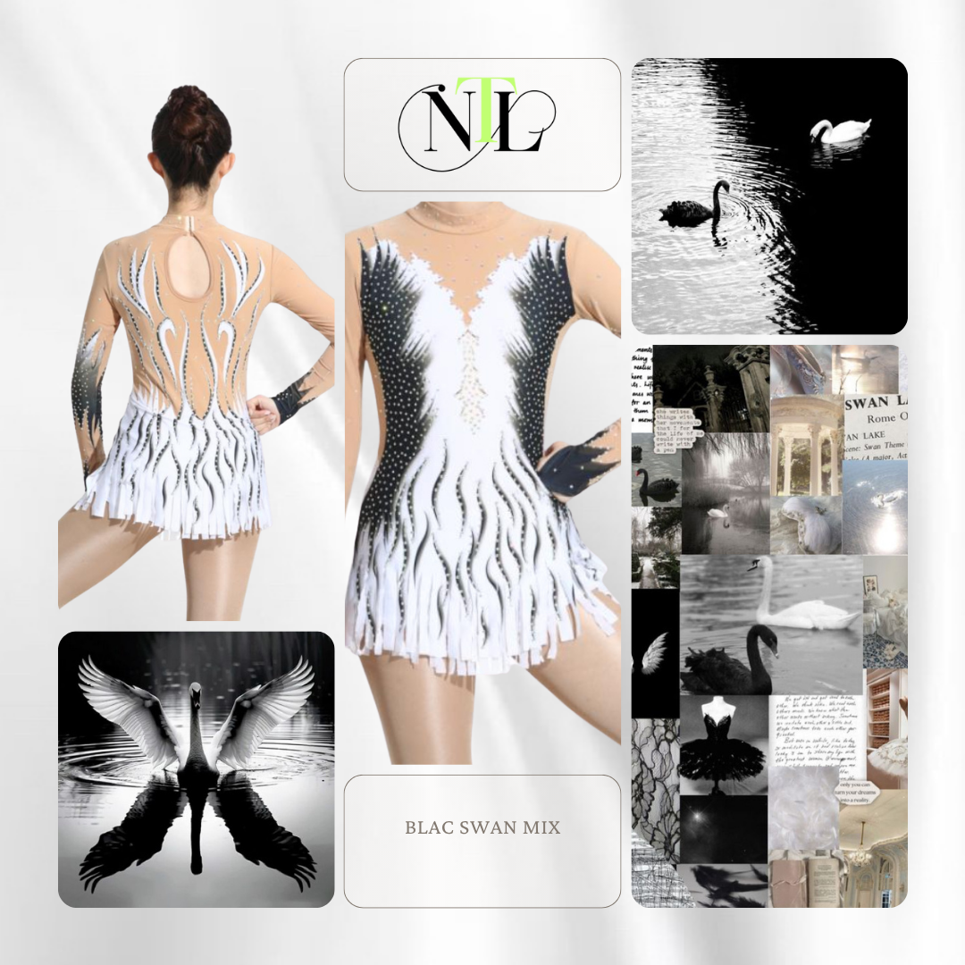 Swam lake style leotard