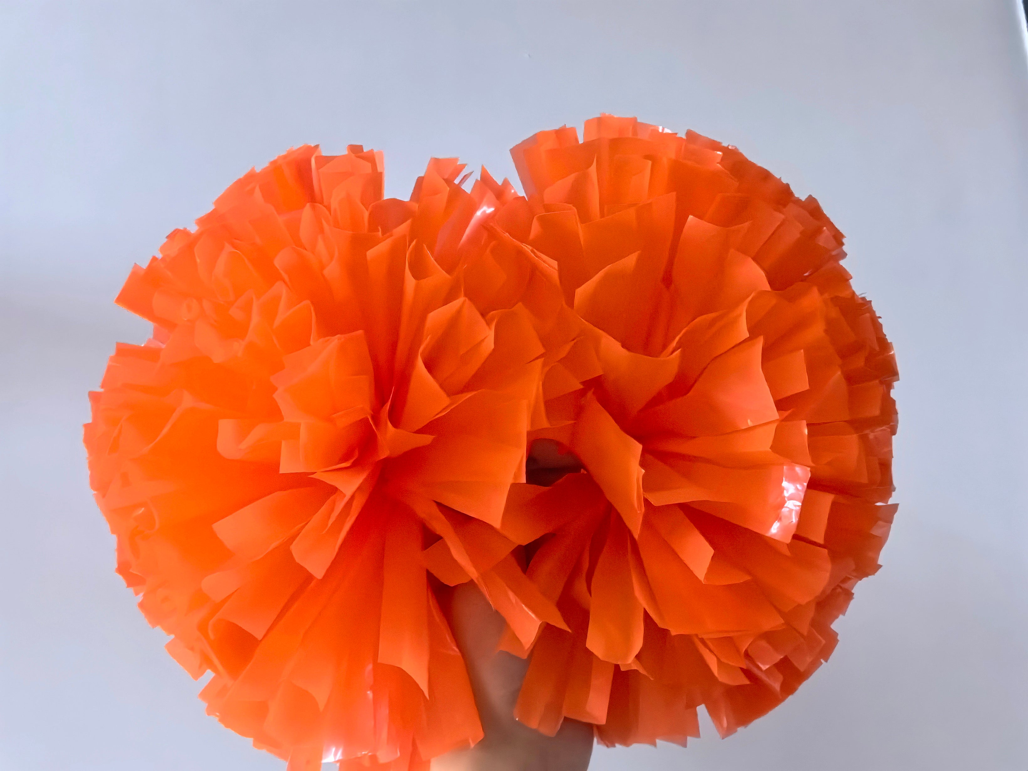 Fluffy full orange Pom