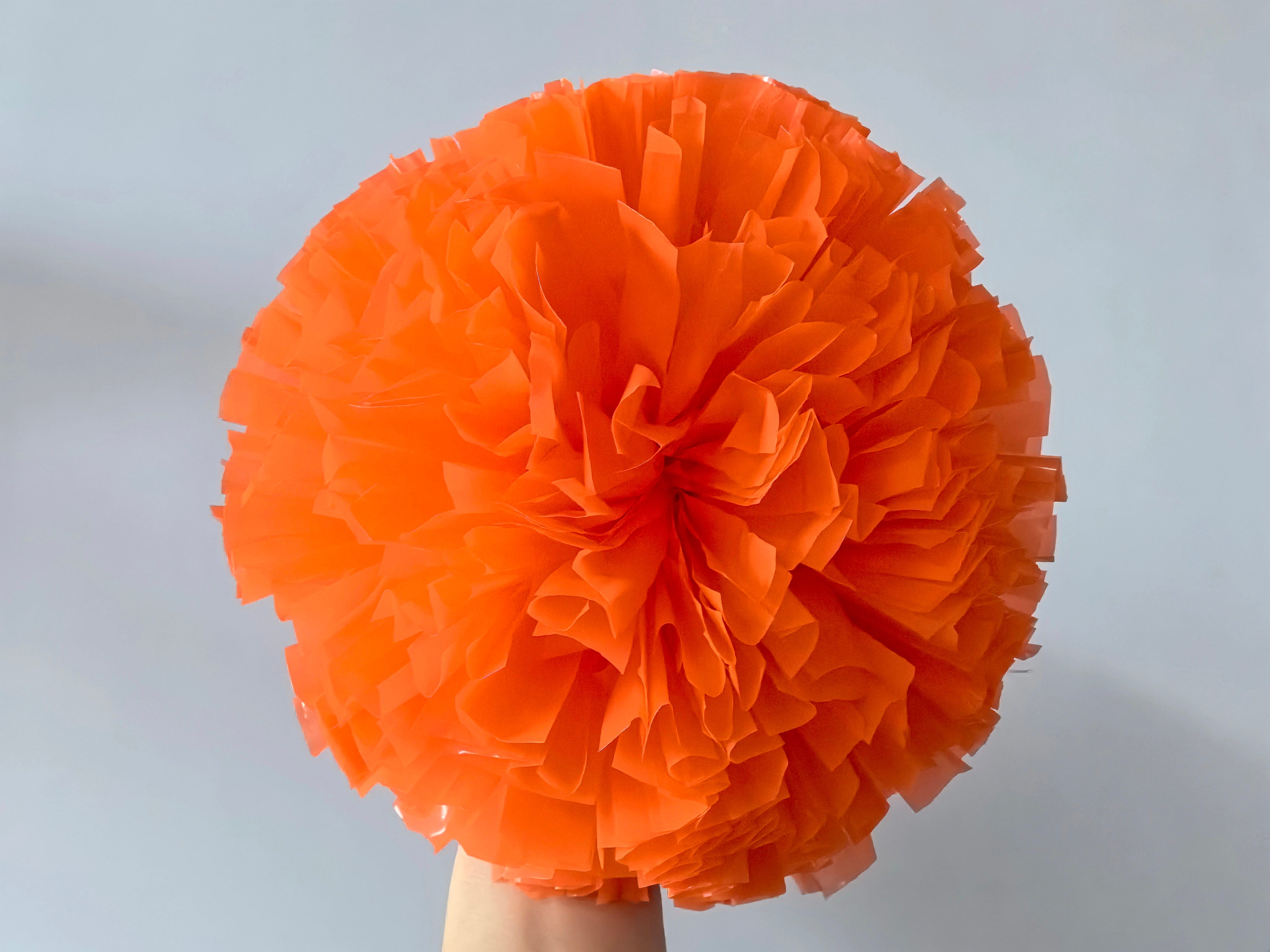 Fluffy full orange Pom