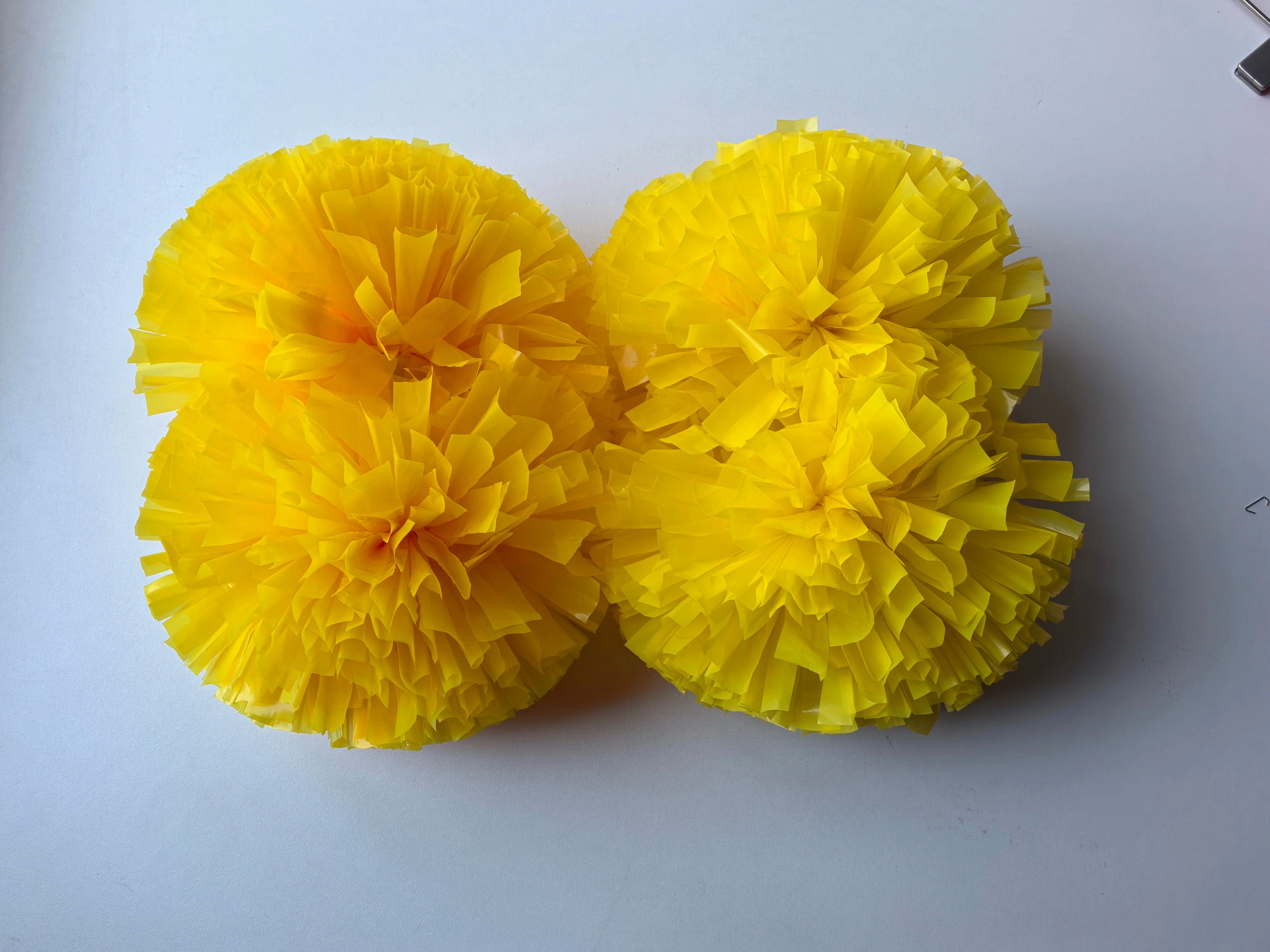 Fluffy yellow full Pom